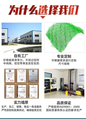 市政工程邊坡防護(hù)用三維植被網(wǎng)-EM5